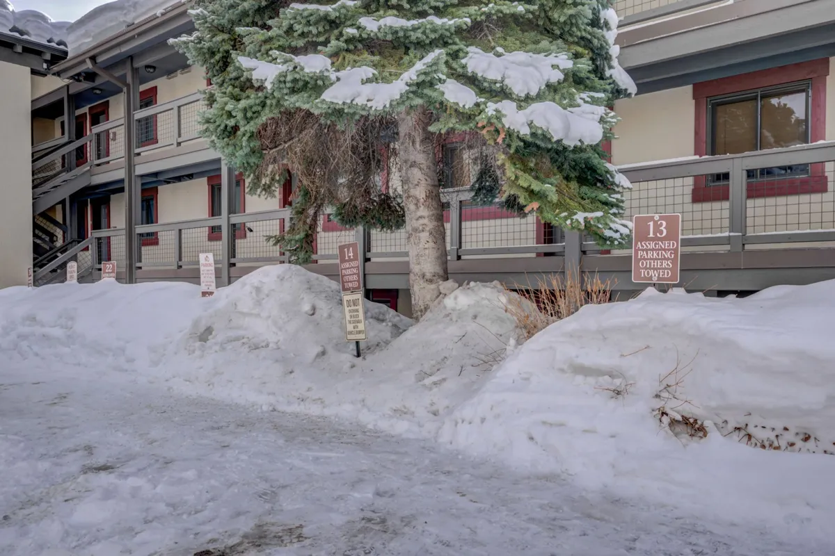 This exterior image shows the building facade set against a tranquil, snow-covered landscape. A large evergreen tree stands prominently in the foreground, while the surrounding area looks inviting for outdoor relaxation or social gatherings. The scene evokes the ambiance of a cozy mountain town, with hints of nearby winter activities and a welcoming community vibe.